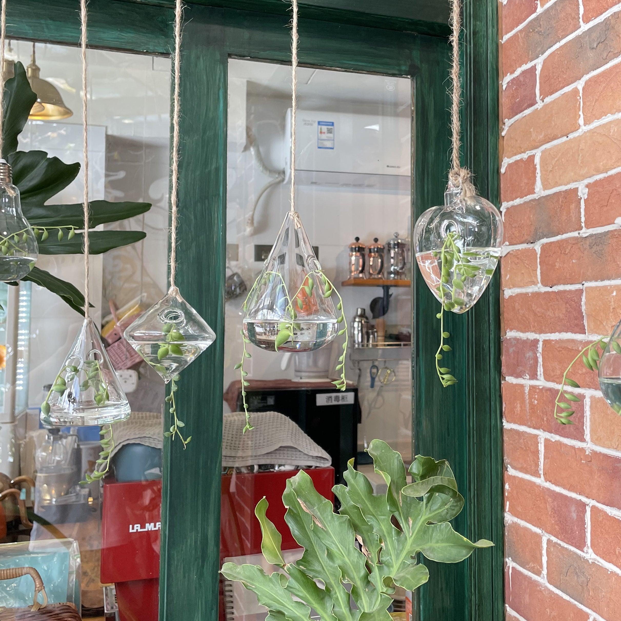 3-Piece Glass Hanging Terrarium Vases