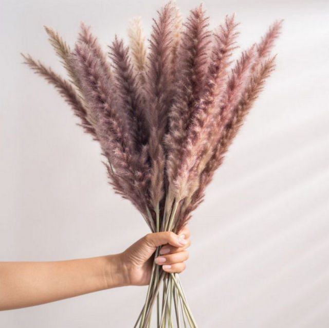 Grey Pampas Grass Decor Whit Dried Flowers Bouquet