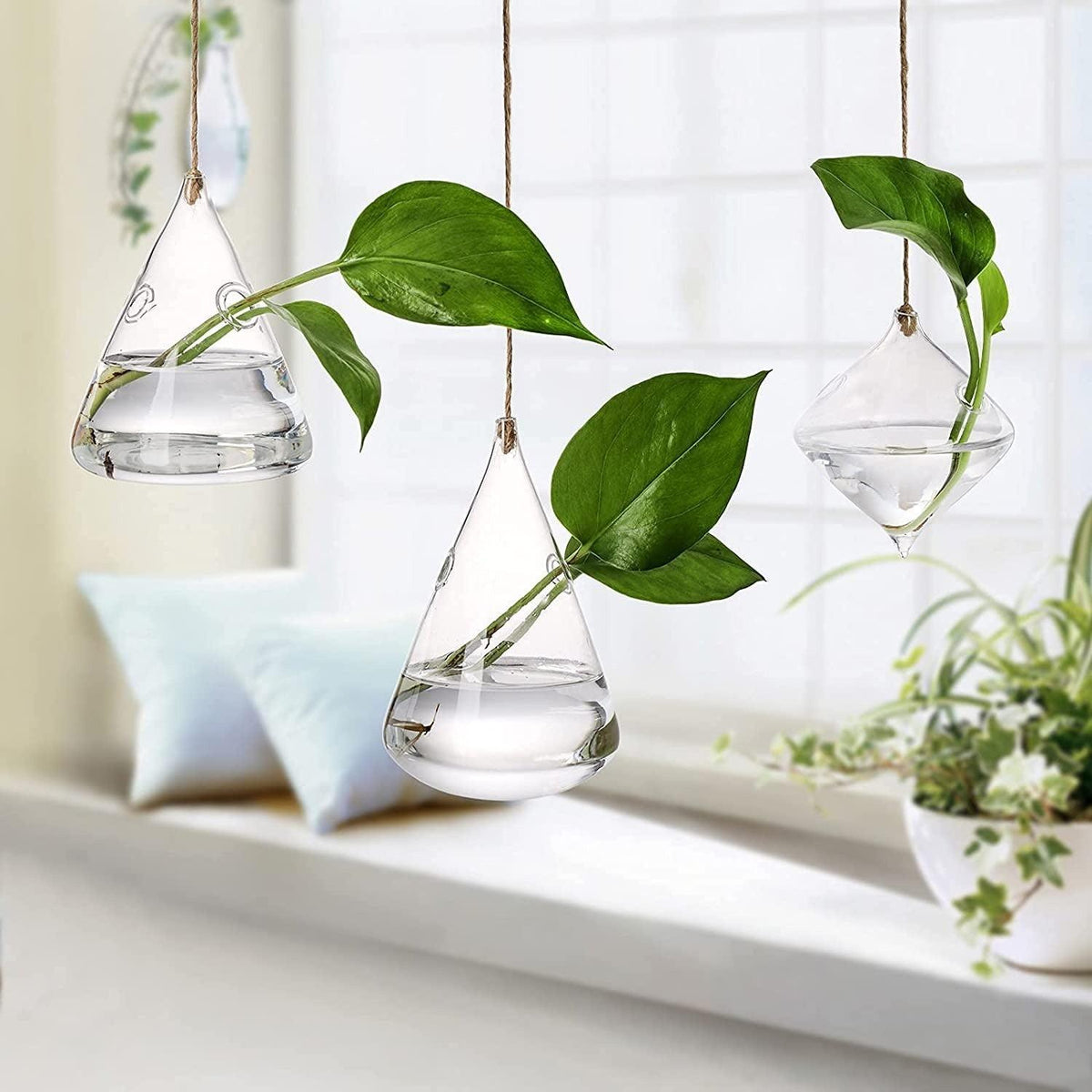 3-Piece Glass Hanging Terrarium Vases